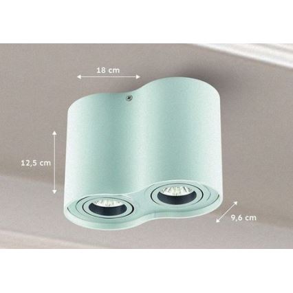 Oświetlenie punktowe TUBA 1xGU10/50W/230V biały