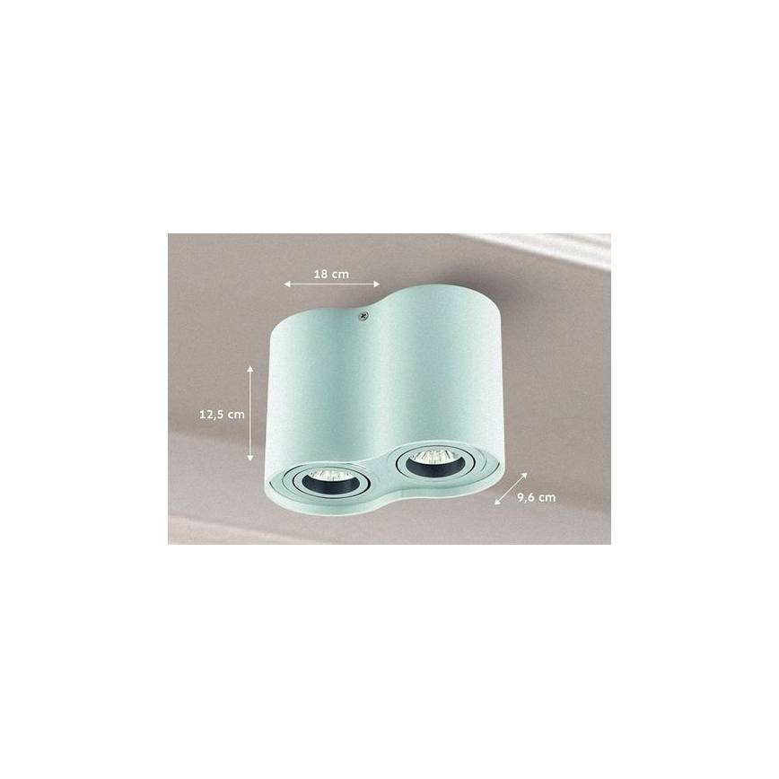 Oświetlenie punktowe TUBA 1xGU10/50W/230V biały