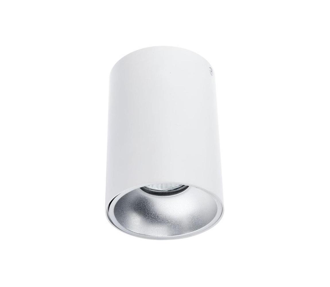 Oświetlenie punktowe TUBA 1xGU10/50W/230V biały
