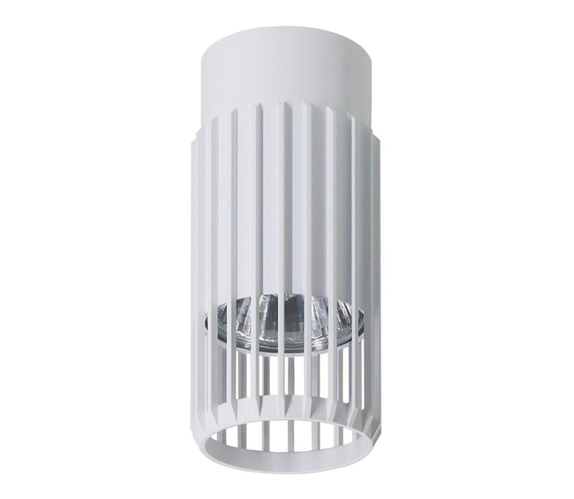 Oświetlenie punktowe VERTICAL 1xGU10/8W/230V białe