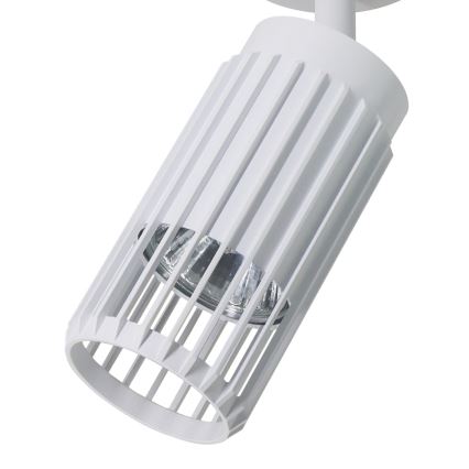 Oświetlenie punktowe VERTICAL 1xGU10/8W/230V białe