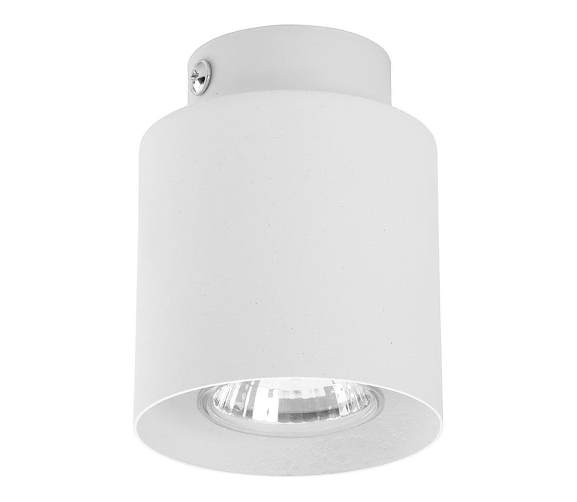 Oświetlenie punktowe VICO WHITE 1xGU10/10W/230V