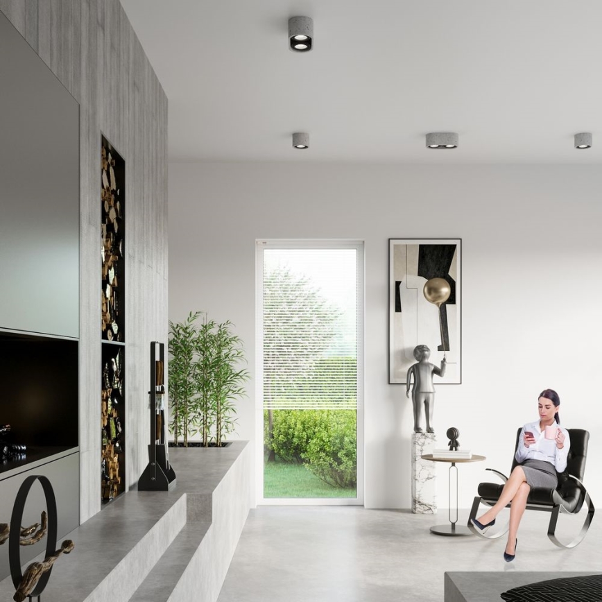 Oświetlenie sufitowe BASIC AR111 2xGU10/40W/230V beton