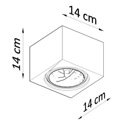 Oświetlenie sufitowe SEIDA 1xGU10/40W/230V