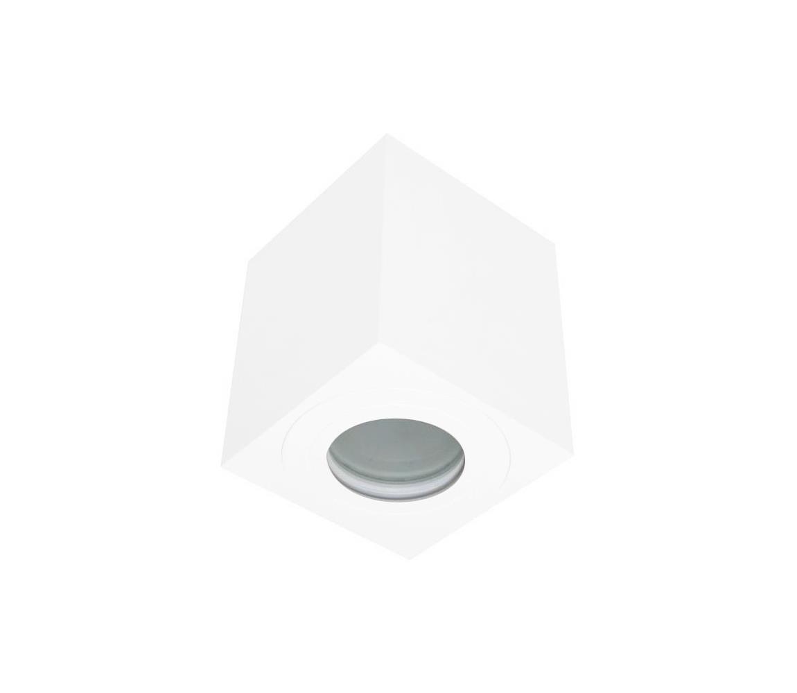 Oświetlenie zewnętrzne punktowe SARA 1xGU10/30W/230V IP54 biały