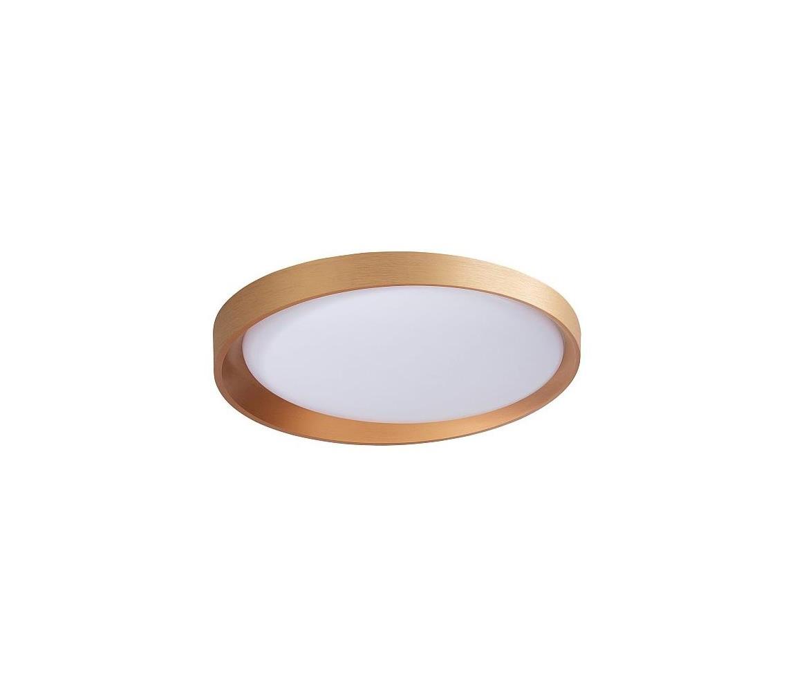 61004556 - LED Oświetlenie sufitowe ADEL LED/40W/230V