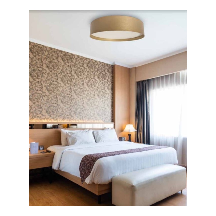 LED Oświetlenie sufitowe SOFIE LED/50W/230V