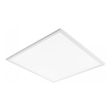 Panel LED do sufitów podwieszanych DAVRO LED/40W/230V 4000K 62x62 cm biały