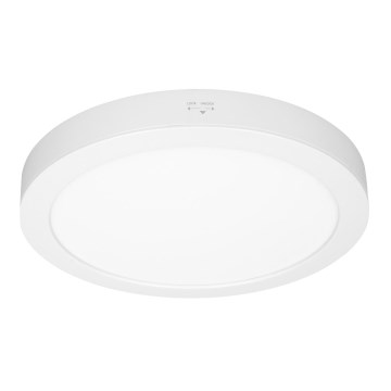 Panel LED natynkowy/wpuszczany 2 w 1 24W/230V 3000/4000/6000K śr. 30 cm IP54 biały