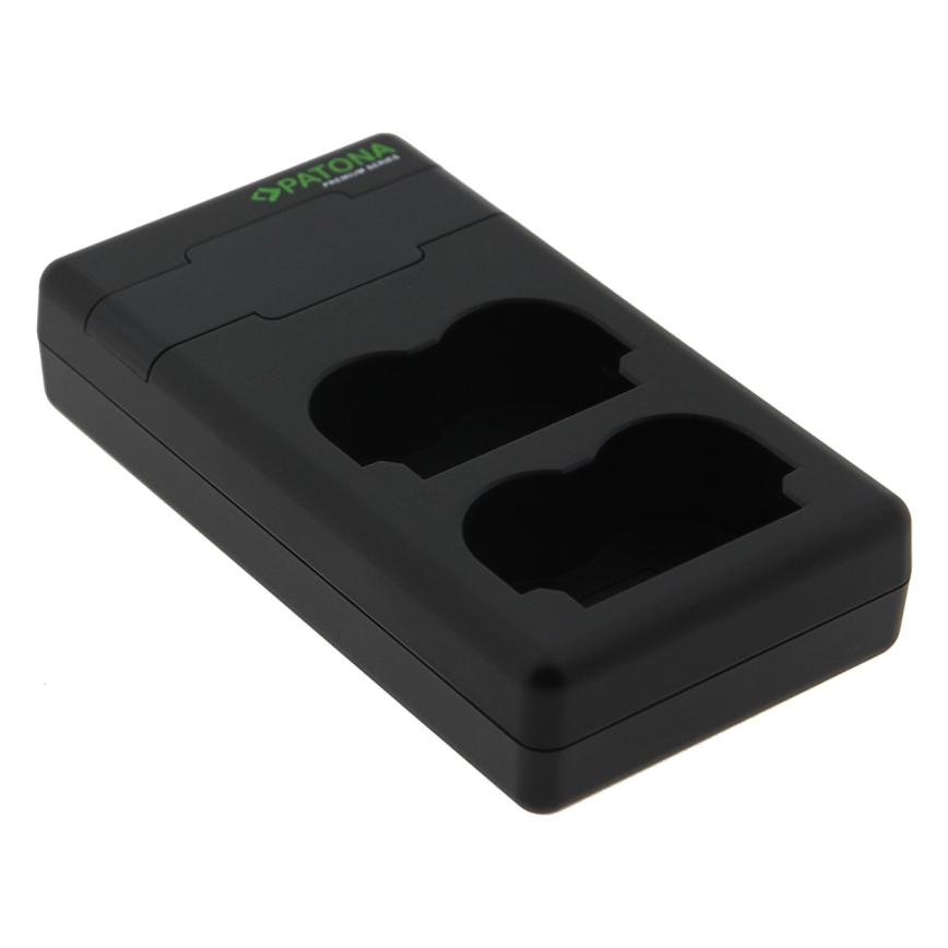 PATONA - Szybka ładowarka Dual Panasonic DMW-BLF19 + kabel USB-C 0,6m
