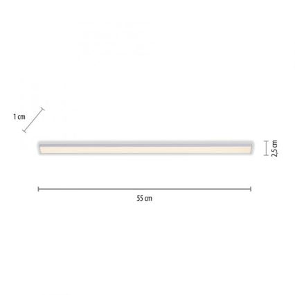 Paul Neuhaus 1125-21-A - LED Rozszerzające oświetlenie blatu kuchennego AMON LED/6W/12/230V