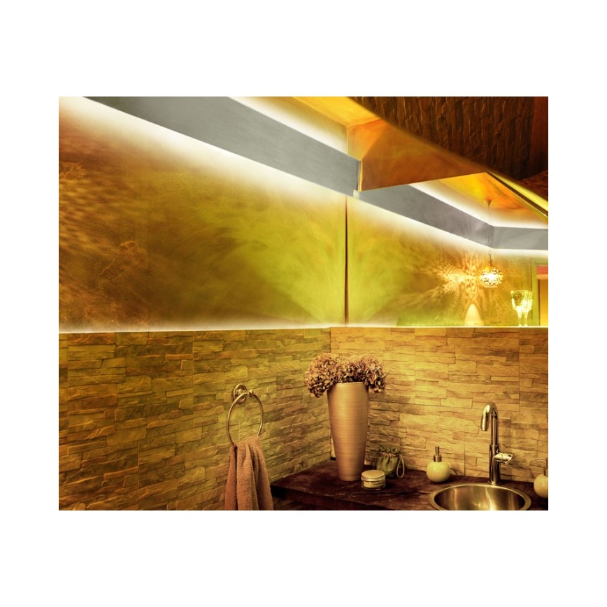 Paul Neuhaus 1198-70 - LED RGB Ściemniana taśma TEANIA 5m LED/20W/12/230V + RC