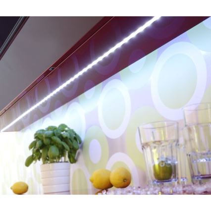 Paul Neuhaus 1198-70 - LED RGB Ściemniana taśma TEANIA 5m LED/20W/12/230V + RC