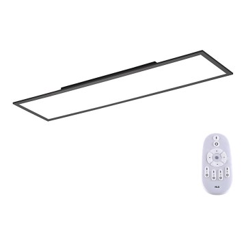 Paul Neuhaus 16533-16-O - LED Ściemniany panel natynkowy FLAT LED/24W/230V 2700-5000K black + pilot