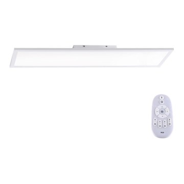 Paul Neuhaus 16533-16-O - LED Ściemniany panel natynkowy FLAT LED/24W/230V 2700-5000K white + pilot