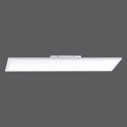 Paul Neuhaus 16533-16-O - LED Ściemniany panel natynkowy FLAT LED/24W/230V 2700-5000K white + pilot