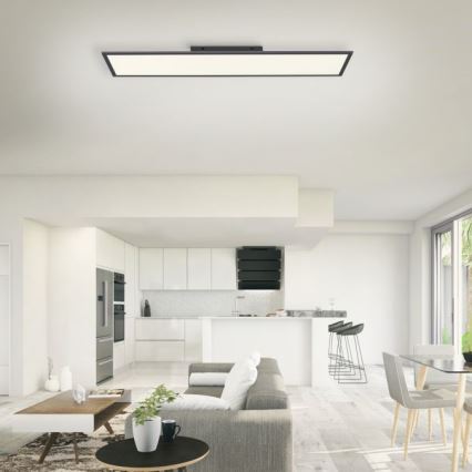 Paul Neuhaus 16533-16-O - LED Ściemniany panel natynkowy FLAT LED/24W/230V 2700-5000K black + pilot