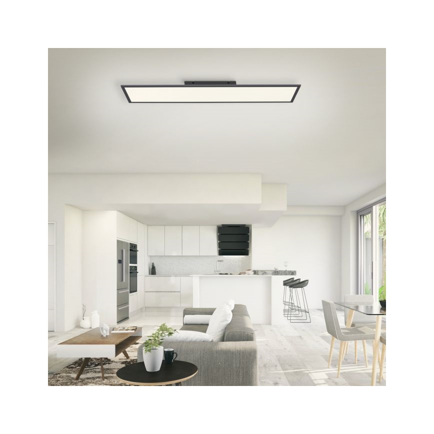 Paul Neuhaus 16533-16-O - LED Ściemniany panel natynkowy FLAT LED/24W/230V 2700-5000K black + pilot