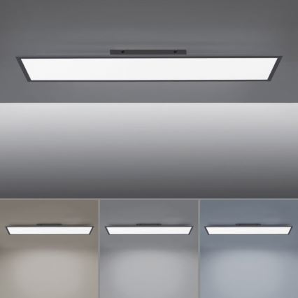 Paul Neuhaus 16533-16-O - LED Ściemniany panel natynkowy FLAT LED/24W/230V 2700-5000K black + pilot