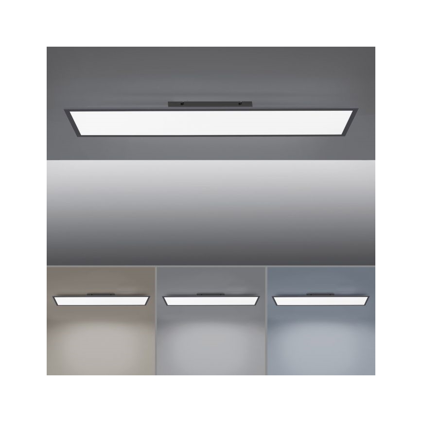 Paul Neuhaus 16533-16-O - LED Ściemniany panel natynkowy FLAT LED/24W/230V 2700-5000K black + pilot