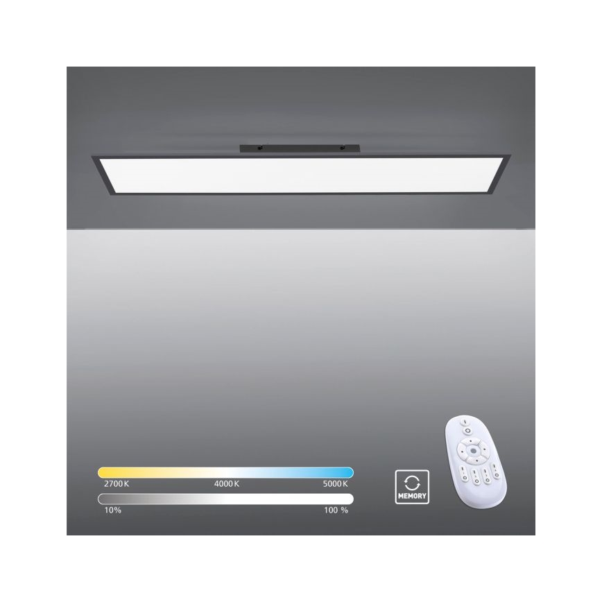 Paul Neuhaus 16533-16-O - LED Ściemniany panel natynkowy FLAT LED/24W/230V 2700-5000K black + pilot