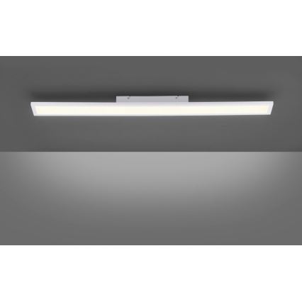 Paul Neuhaus 16537-16-O - LED Ściemniany panel natynkowy FLAT LED/21W/230V + pilot