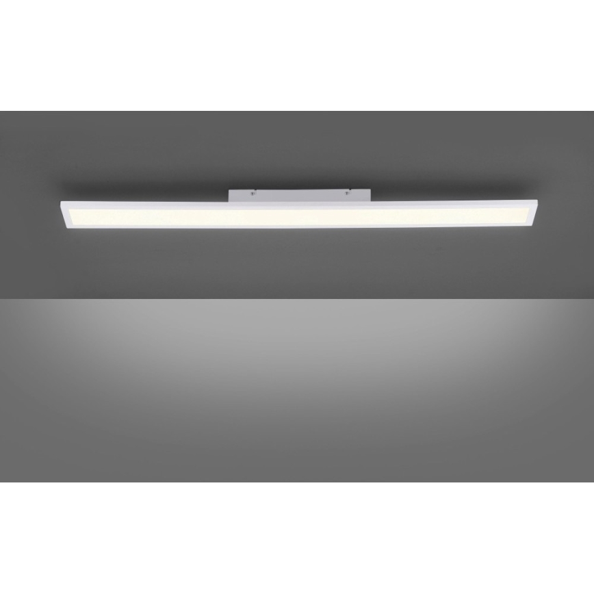 Paul Neuhaus 16537-16-O - LED Ściemniany panel natynkowy FLAT LED/21W/230V + pilot