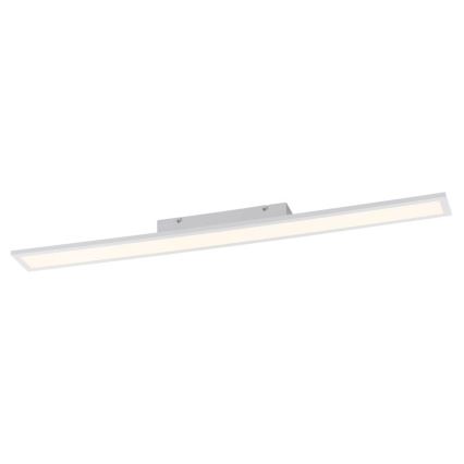 Paul Neuhaus 16537-16-O - LED Ściemniany panel natynkowy FLAT LED/21W/230V + pilot