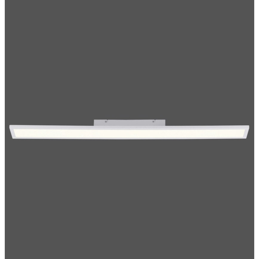 Paul Neuhaus 16537-16-O - LED Ściemniany panel natynkowy FLAT LED/21W/230V + pilot