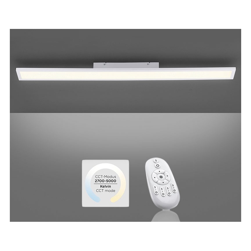 Paul Neuhaus 16537-16-O - LED Ściemniany panel natynkowy FLAT LED/21W/230V + pilot
