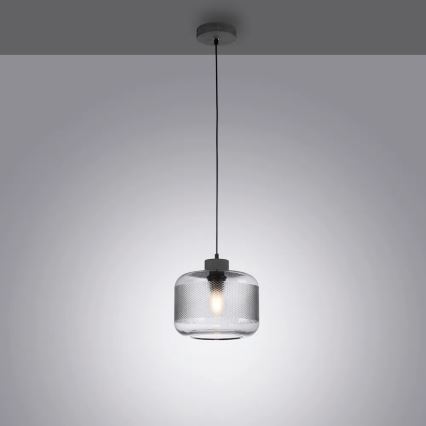 Paul Neuhaus 2005-25 - Żyrandol na lince BOLETUS 1xE27/10W/230V śr. 23,5 cm szary