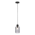 Paul Neuhaus 2006-25 - Żyrandol na lince BOLETUS 1xE27/10W/230V śr. 14 cm szary