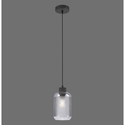 Paul Neuhaus 2006-25 - Żyrandol na lince BOLETUS 1xE27/10W/230V śr. 14 cm szary