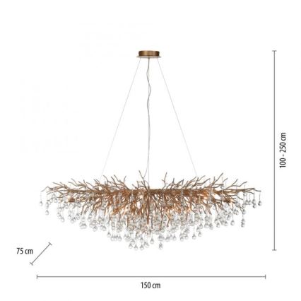 Paul Neuhaus 2031-11 - Żyrandol na lince ICICLE 15xG9/40W/230V 75x150 cm mosiądz