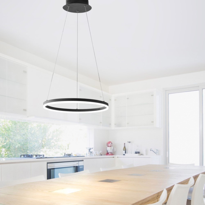 Paul Neuhaus 2381-13 - LED Ściemniany żyrandol na lince TITUS LED/28W/230V