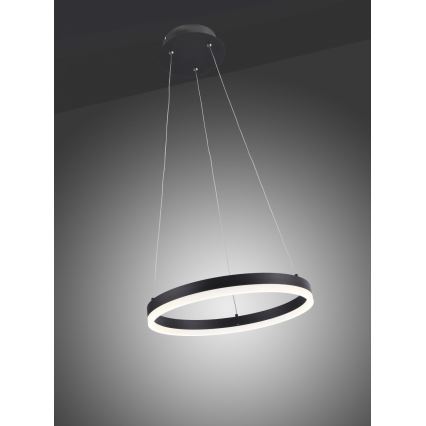 Paul Neuhaus 2381-13 - LED Ściemniany żyrandol na lince TITUS LED/28W/230V