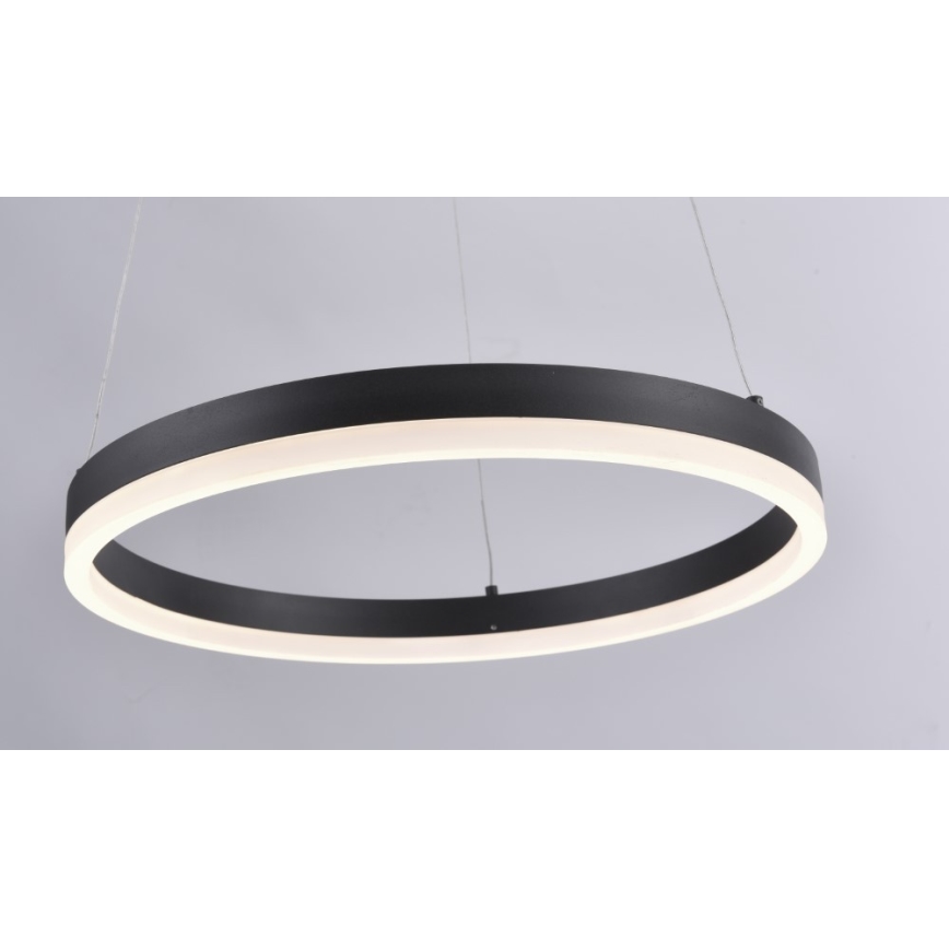 Paul Neuhaus 2381-13 - LED Ściemniany żyrandol na lince TITUS LED/28W/230V