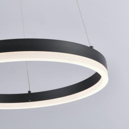 Paul Neuhaus 2381-13 - LED Ściemniany żyrandol na lince TITUS LED/28W/230V