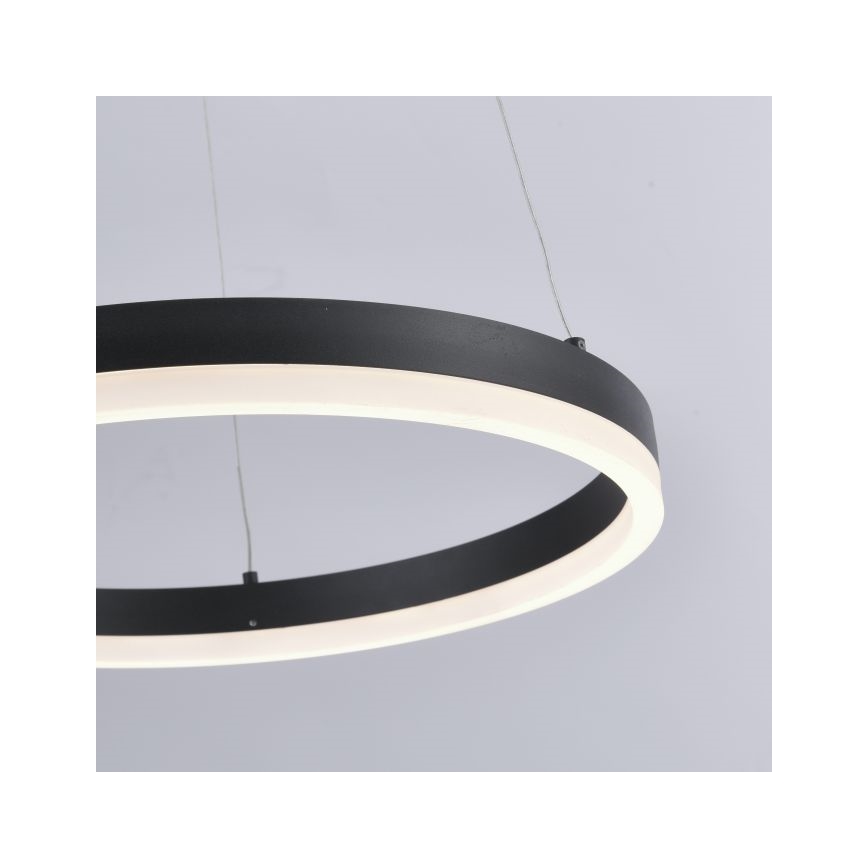 Paul Neuhaus 2381-13 - LED Ściemniany żyrandol na lince TITUS LED/28W/230V