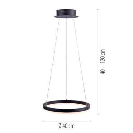 Paul Neuhaus 2381-13 - LED Ściemniany żyrandol na lince TITUS LED/28W/230V
