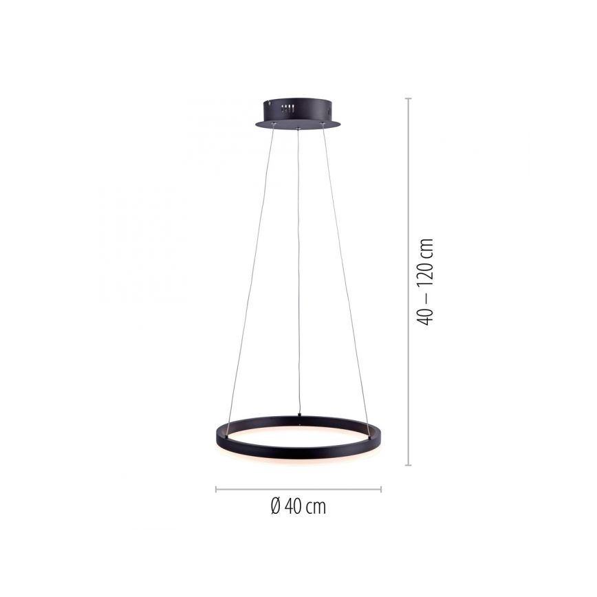 Paul Neuhaus 2381-13 - LED Ściemniany żyrandol na lince TITUS LED/28W/230V