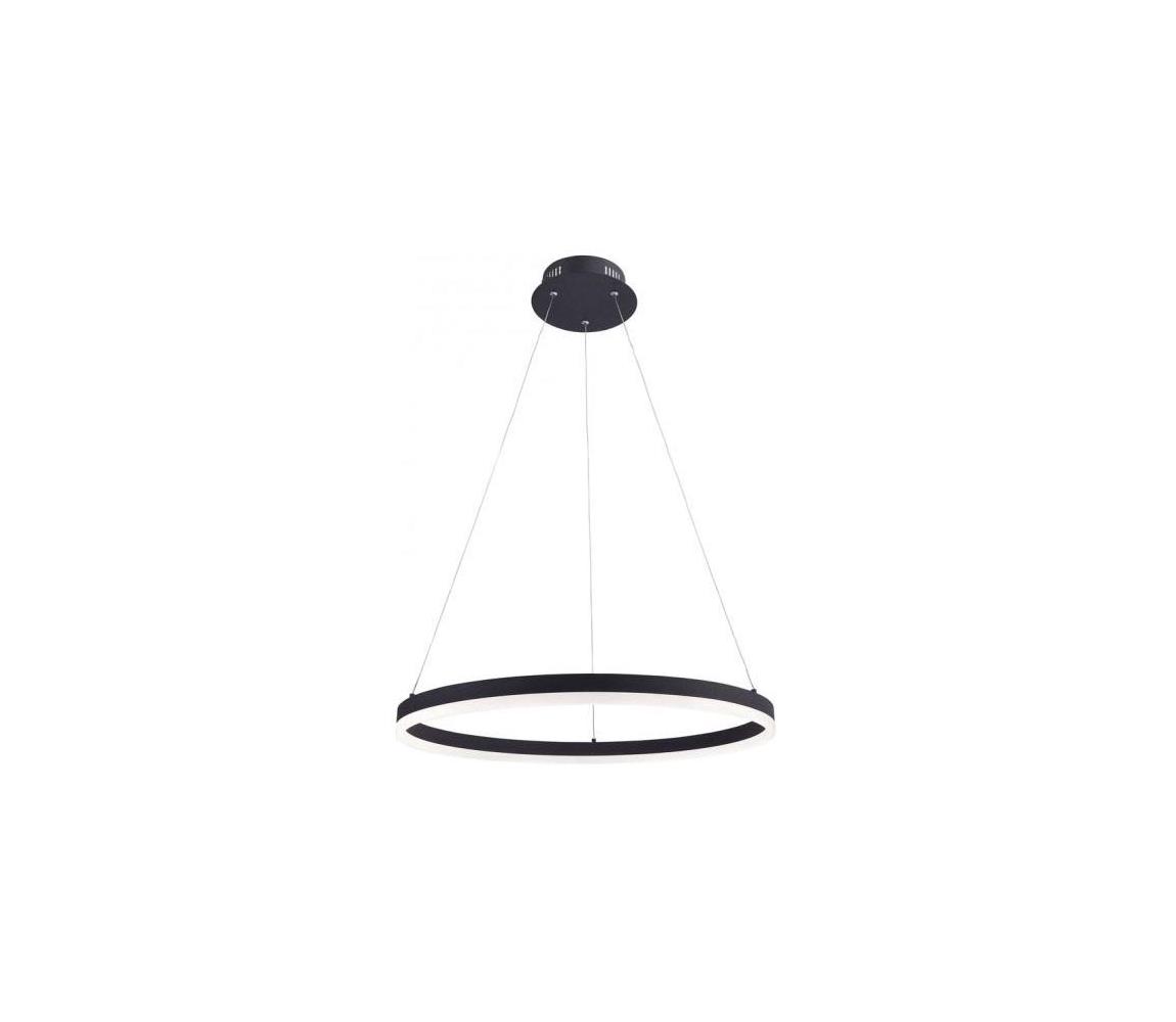 Paul Neuhaus 2382-13 - LED Ściemniany żyrandol na lince TITUS LED/38,5W/230V