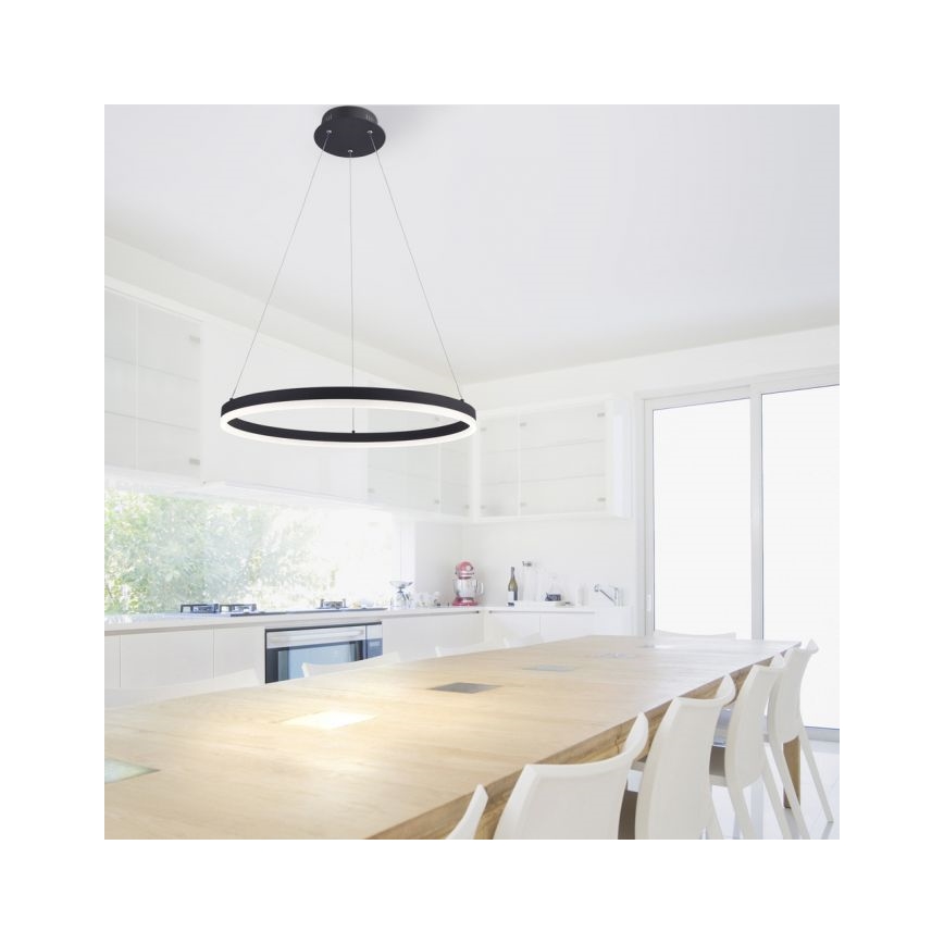 Paul Neuhaus 2382-13 - LED Ściemniany żyrandol na lince TITUS LED/38,5W/230V