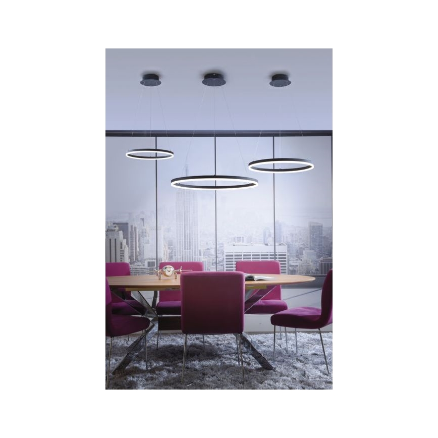 Paul Neuhaus 2382-13 - LED Ściemniany żyrandol na lince TITUS LED/38,5W/230V
