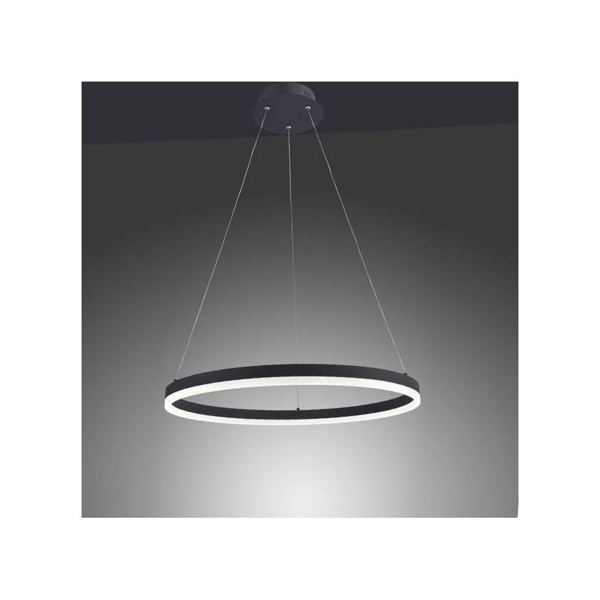 Paul Neuhaus 2382-13 - LED Ściemniany żyrandol na lince TITUS LED/38,5W/230V