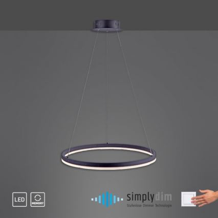 Paul Neuhaus 2382-13 - LED Ściemniany żyrandol na lince TITUS LED/38,5W/230V