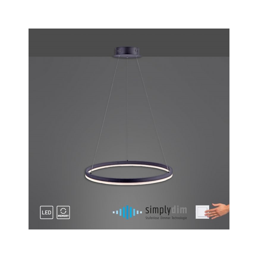 Paul Neuhaus 2382-13 - LED Ściemniany żyrandol na lince TITUS LED/38,5W/230V