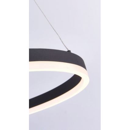 Paul Neuhaus 2382-13 - LED Ściemniany żyrandol na lince TITUS LED/38,5W/230V