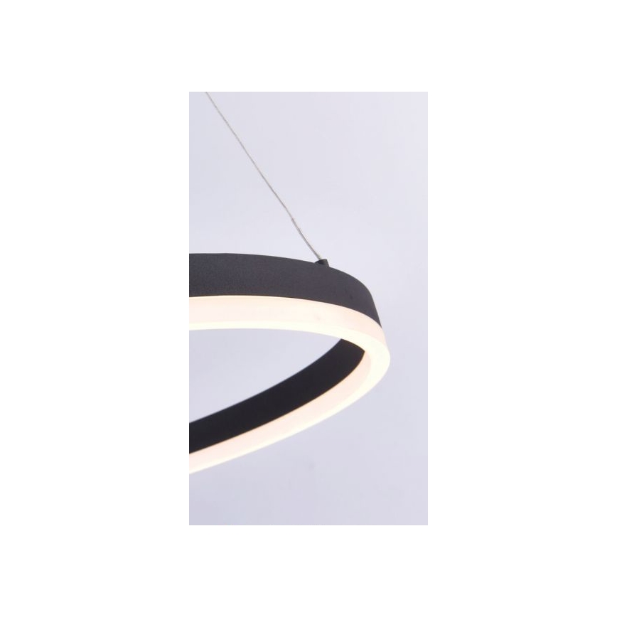Paul Neuhaus 2382-13 - LED Ściemniany żyrandol na lince TITUS LED/38,5W/230V