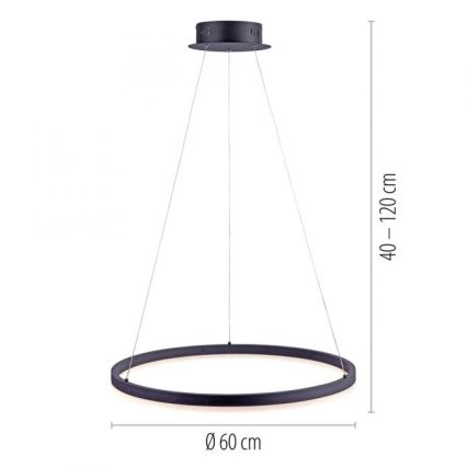 Paul Neuhaus 2382-13 - LED Ściemniany żyrandol na lince TITUS LED/38,5W/230V